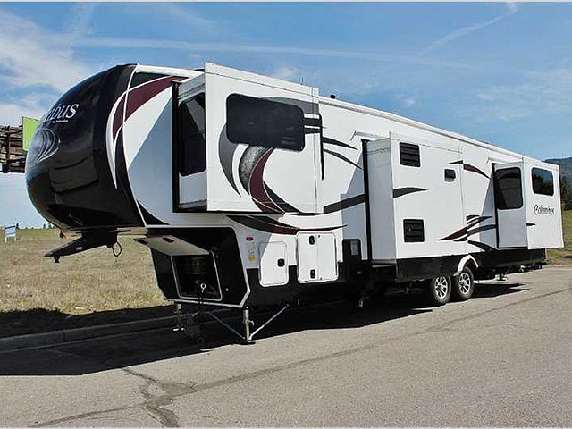 16 Palomino Columbus