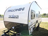 15 Palomino Palomini