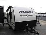 15 Palomino Palomini