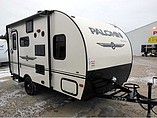 15 Palomino Palomini