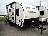 15 Palomino Palomini