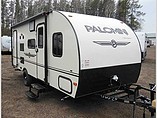 15 Palomino Palomini