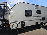 15 Palomino Palomini
