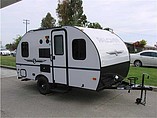 14 Palomino