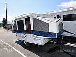 09 Palomino Pony