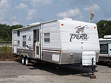 07 Palomino Puma