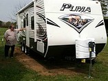 14 Palomino Puma