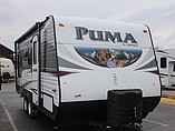 15 Palomino Puma