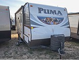 15 Palomino Puma