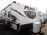 14 Palomino Puma