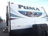 15 Palomino Puma