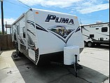 15 Palomino Puma