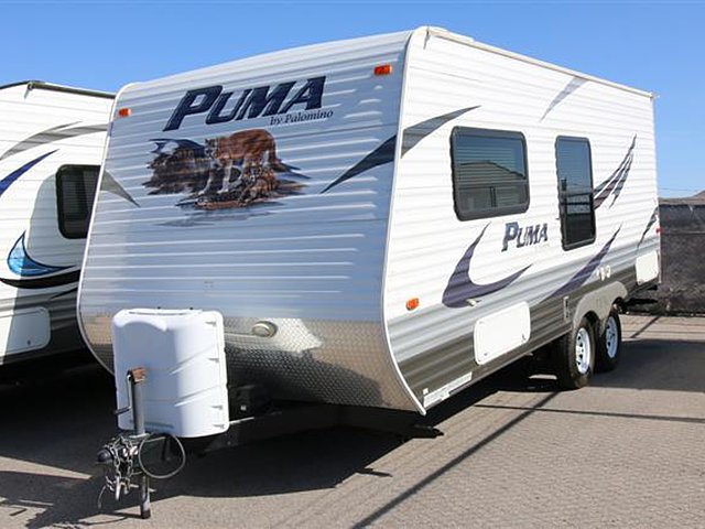 11 Palomino Puma