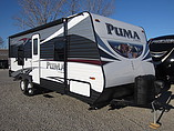 16 Palomino Puma