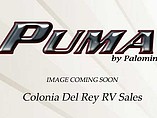 15 Palomino Puma