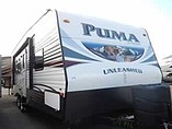 15 Palomino Puma