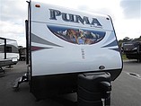 15 Palomino Puma