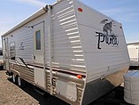 05 Palomino Puma