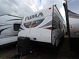 15 Palomino Puma