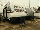 15 Palomino Puma