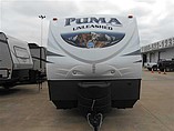 16 Palomino Puma