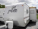 05 Palomino Puma
