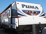 15 Palomino Puma