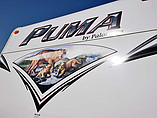 15 Palomino Puma