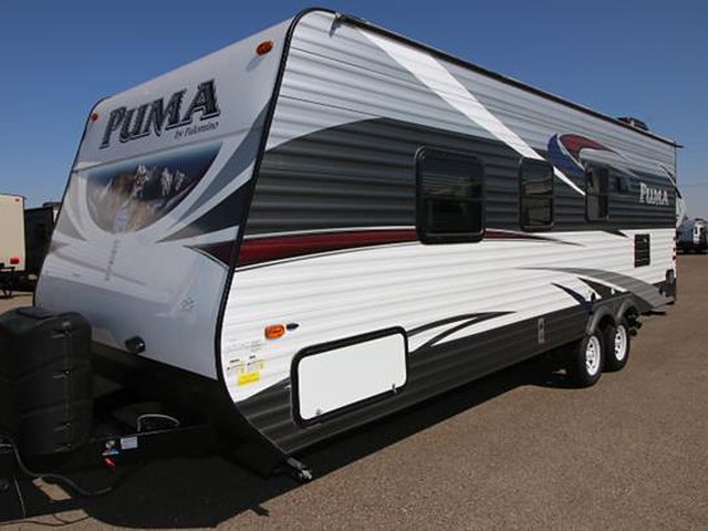 16 Palomino Puma