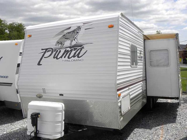 05 Palomino Puma