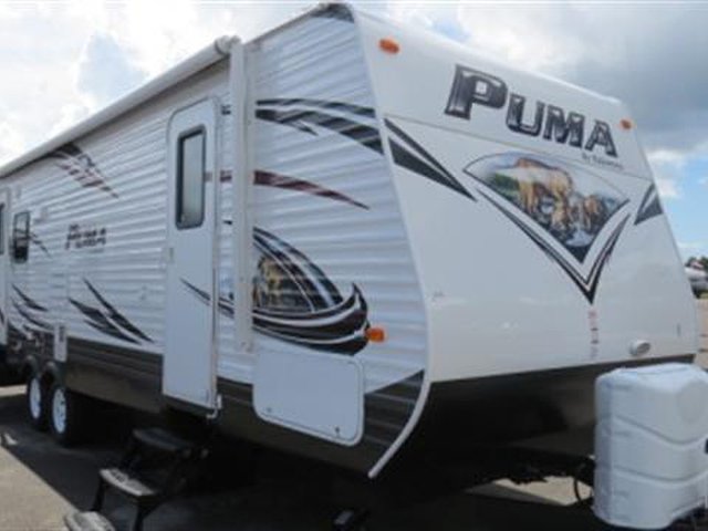 15 Palomino Puma