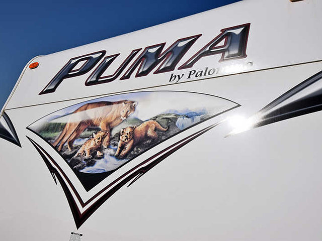 15 Palomino Puma