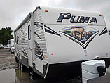 15 Palomino Puma