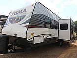 16 Palomino Puma