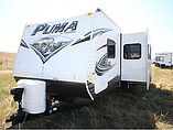 15 Palomino Puma