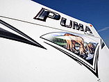 15 Palomino Puma