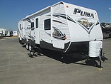 15 Palomino Puma