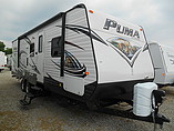 15 Palomino Puma