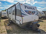 15 Palomino Puma