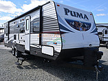 15 Palomino Puma