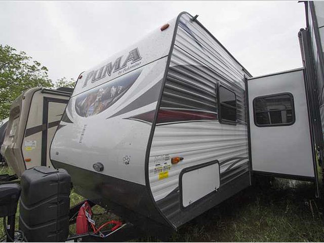 16 Palomino Puma