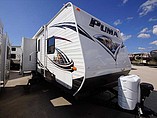 15 Palomino Puma