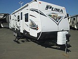 15 Palomino Puma