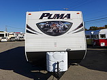 14 Palomino Puma