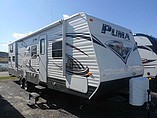 14 Palomino Puma
