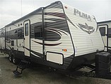 15 Palomino Puma