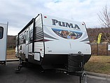 15 Palomino Puma