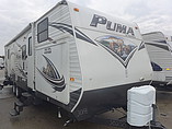 14 Palomino Puma