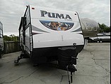 15 Palomino Puma