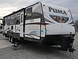 15 Palomino Puma